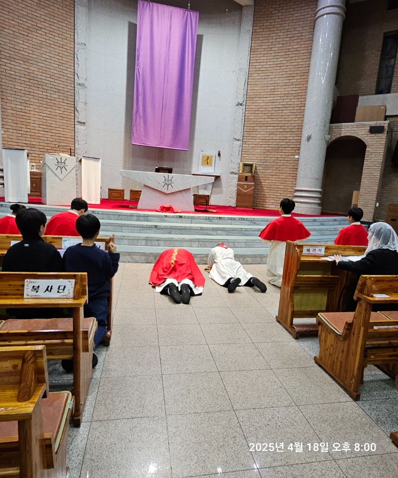 KakaoTalk_20250419_142740935_04.jpg