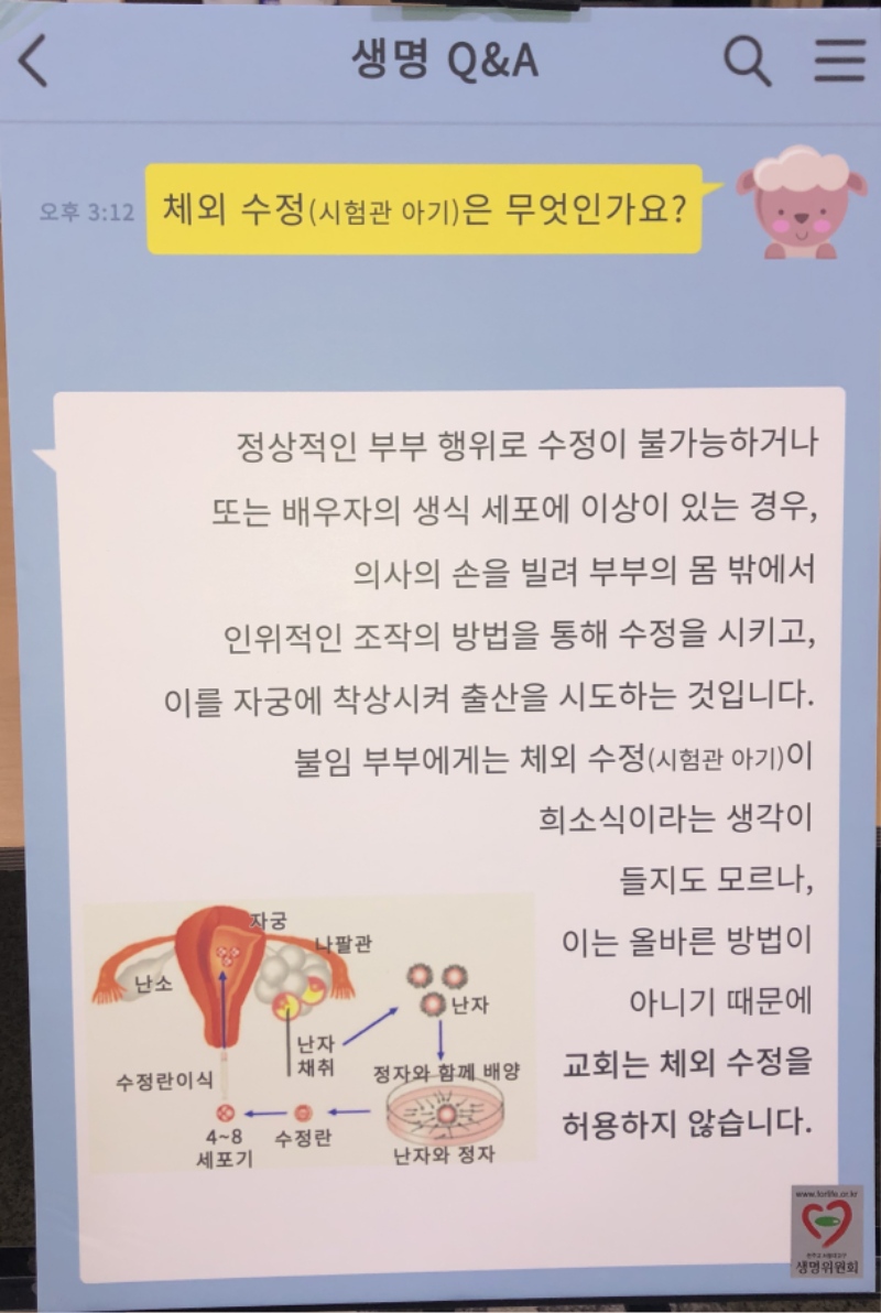 5 04.jpg