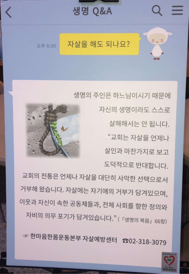 6 04.jpg